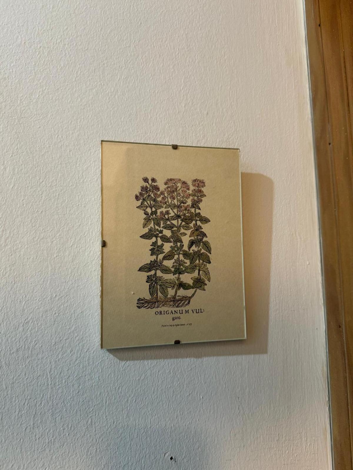 Apartamento Casa Palacio 1890. Ель-Пуерто-де-Санта-Марія Екстер'єр фото
